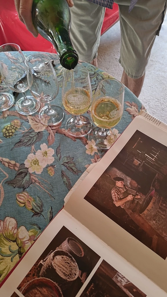 La cave et les verres