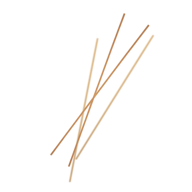 felicetti-biologica-farro-spaghetti-main-800x800.webp